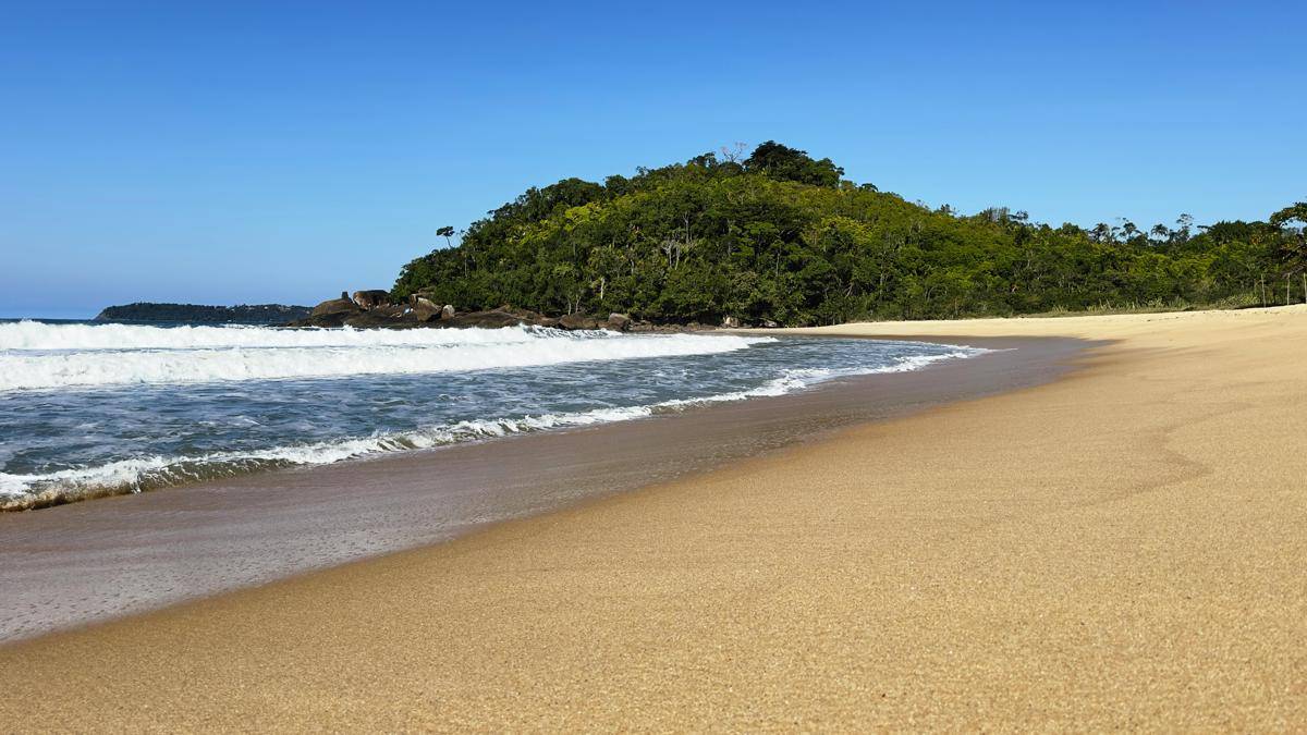 ilustrasi pantai/pexels.com
