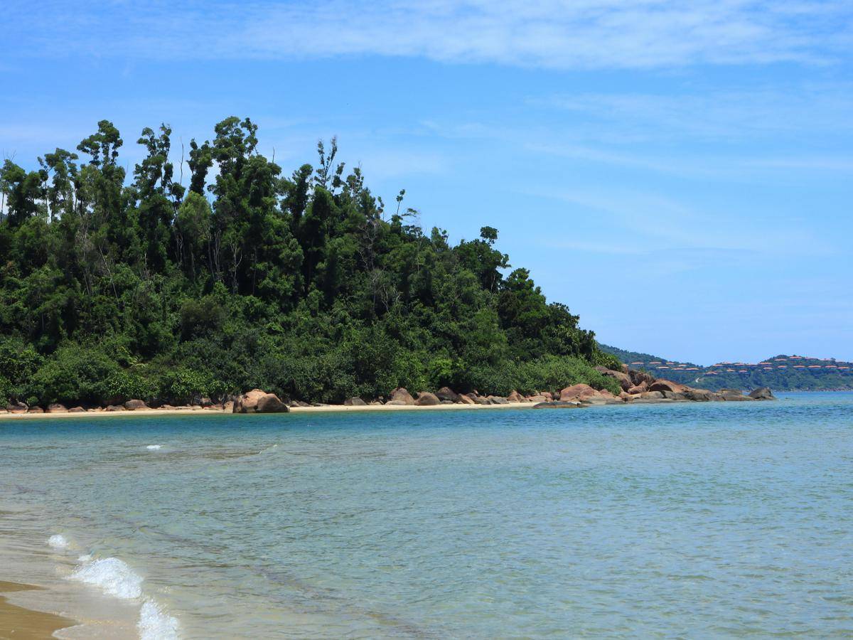 ilustrasi pantai/pexels.com