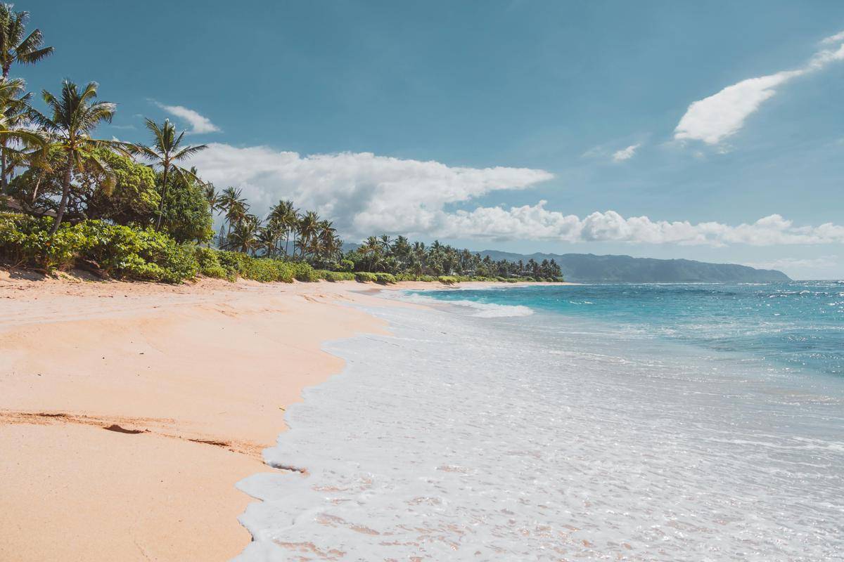 ilustrasi pantai/pexels.com