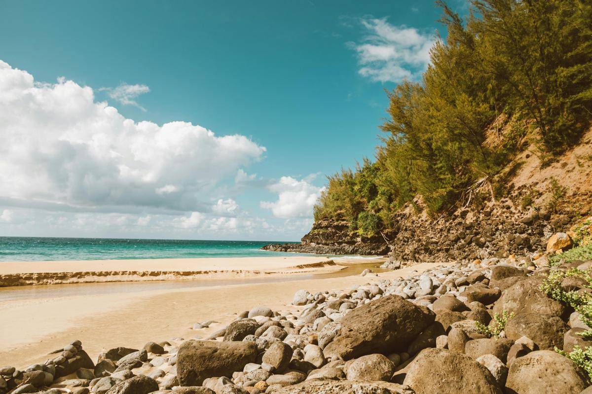 ilustrasi pantai/pexels.com