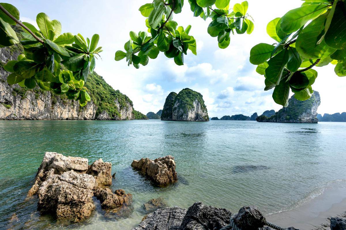 ilustrasi pantai/pexels.com