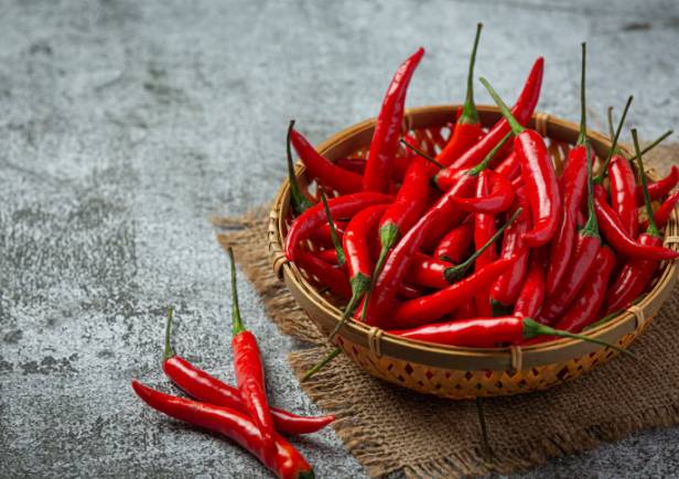 ilustrasi cabe merah (freepik.com/jcomp)