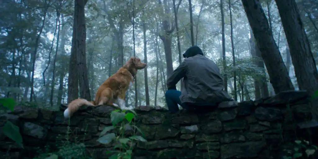 Indy di film Good Boy