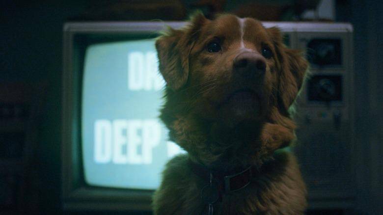 Indy di film Good Boy