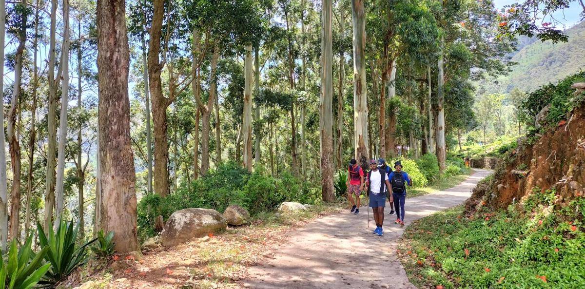 Potret suasana di The Pekoe Trail, Sri Lanka