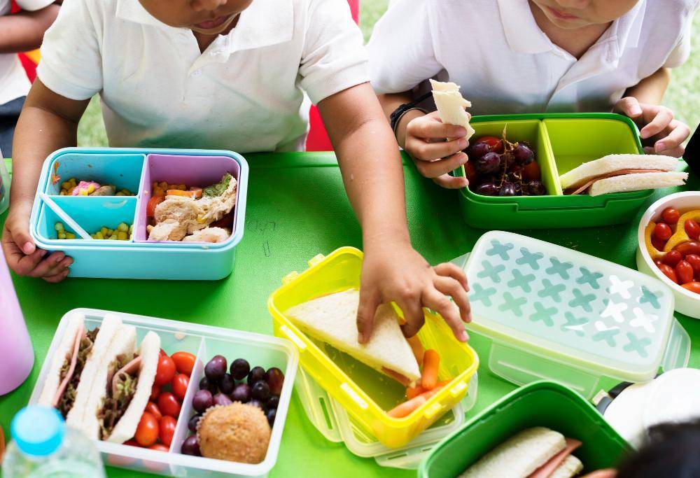 ilustrasi anak makan bekal (freepik.com/rawpixel.com)