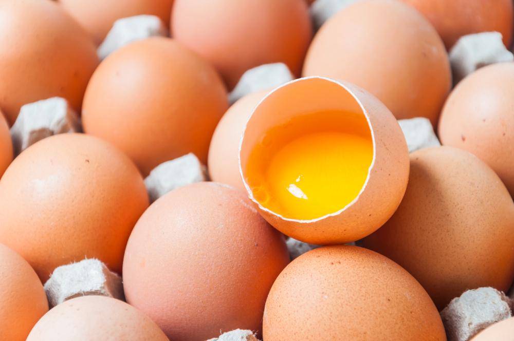 Ilustrasi kuning telur (freepik.com/4045)