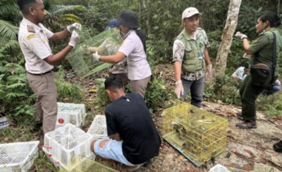 Penyelundupan hewan di Labuan Bajo digagalkan. (Dok BBKSDA NTT)