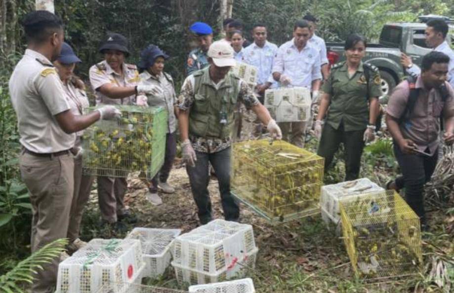 Penyelundupan hewan di Labuan Bajo digagalkan. (Dok BBKSDA NTT)