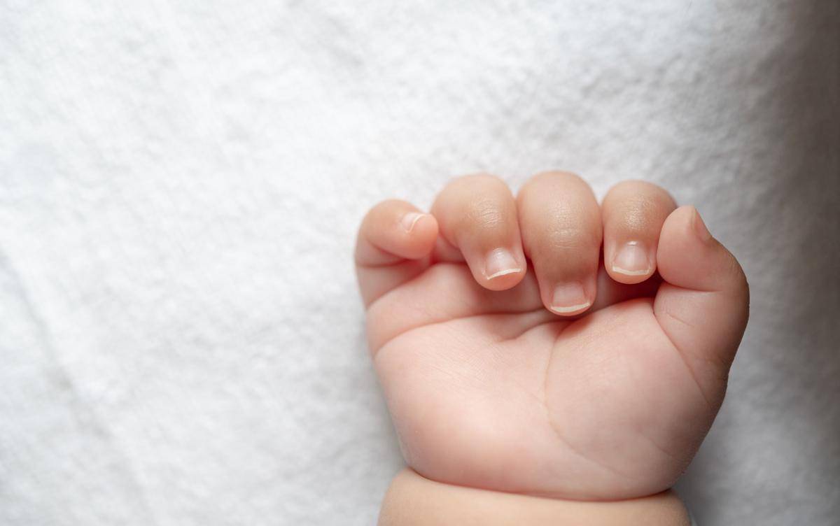 kuku anak (freepik.com/jcomp)