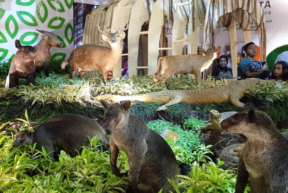 hewan-hewan yang diawetkan di stan Taman Margasatwa Ragunan, Pameran Flona 2025. (dok.pribadi/Gusti Nur Iwari)