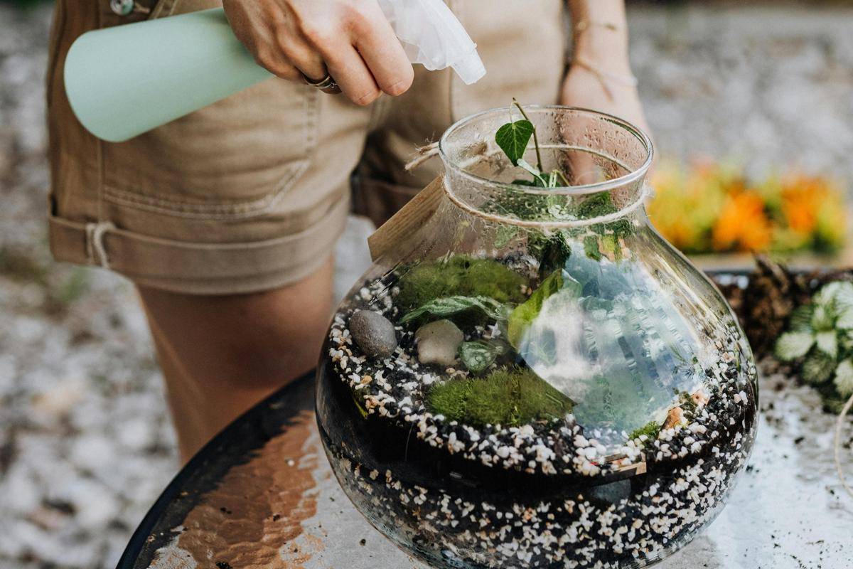 ilustrasi merwawat terrarium (pexels.com//@karolina-grabowska)