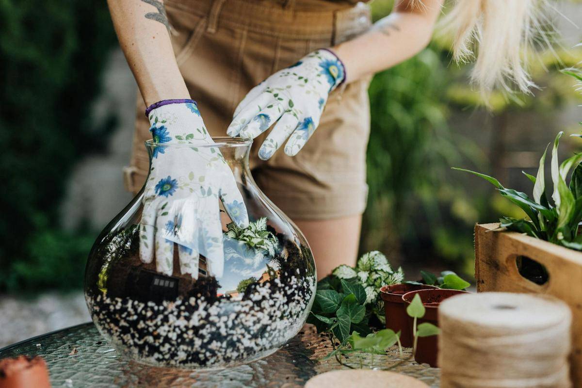 ilustrasi membuat terrarium (pexels.com//@karolina-grabowska)