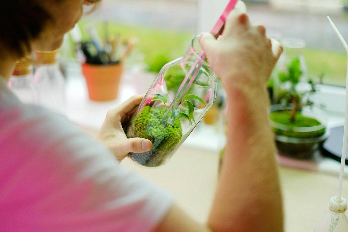ilustrasi membuat terrarium (pexels.com/Anna Shvets)