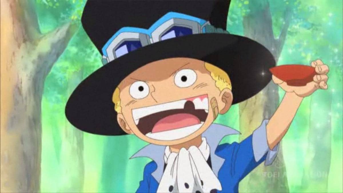 Sabo kecil (dok. Toei Animation/One Piece)