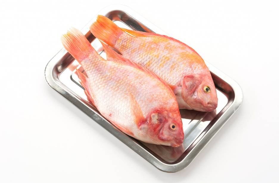 illustrasi ikan segar (freepik.com/topntp26)