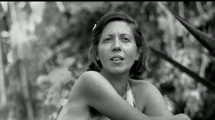 Galapagos Affair
