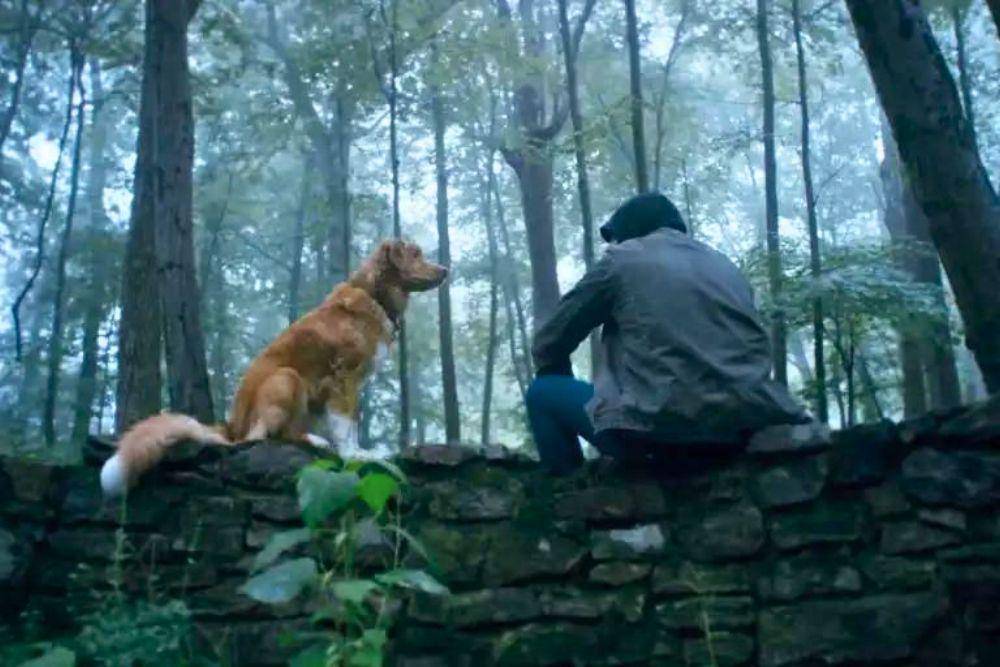 Cuplikan dari film 'Good Boy'. (Dok. IFC)