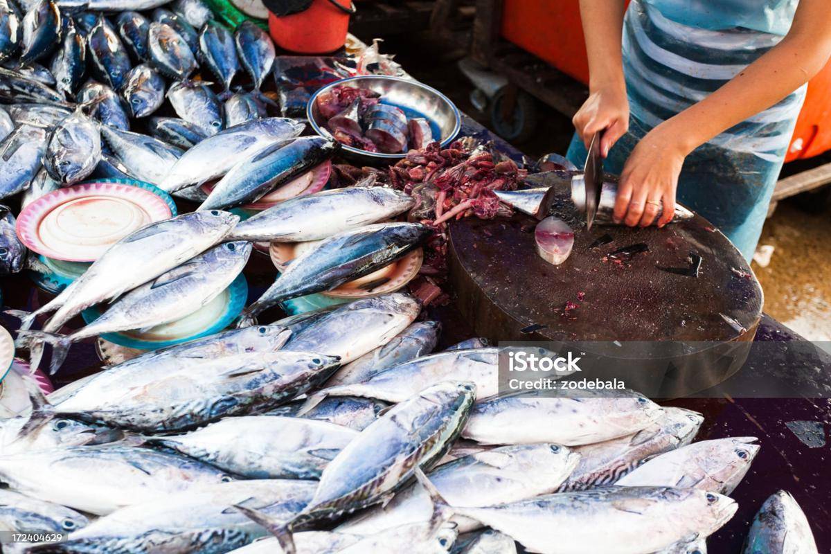 istockphoto-172404629-2048x2048.jpg