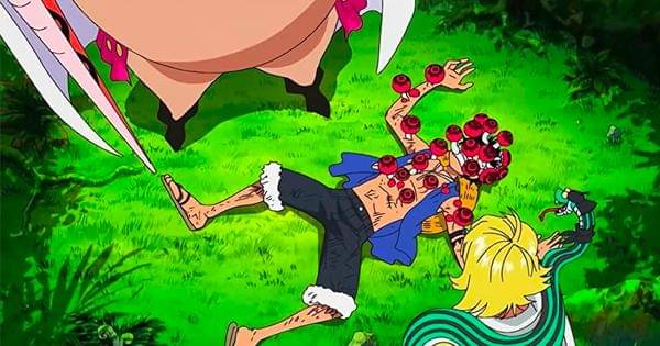 Luffy ditemukan Sweet Pea dan Marguerite - One Piece