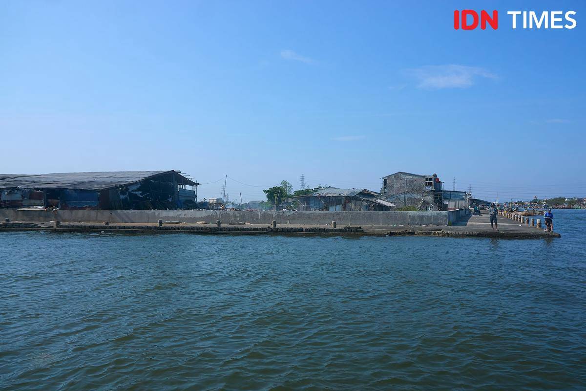 Mangrove Tambakrejo.jpg
