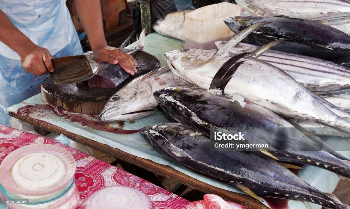 istockphoto-185059099-2048x2048.jpg