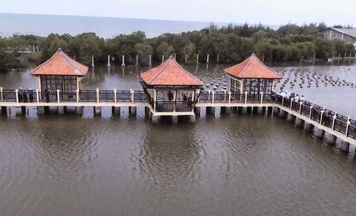 Mangrove Park di Pekalongan
