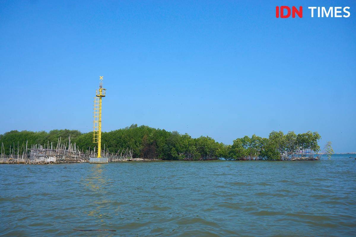 Mangrove Tambakrejo 2.jpg