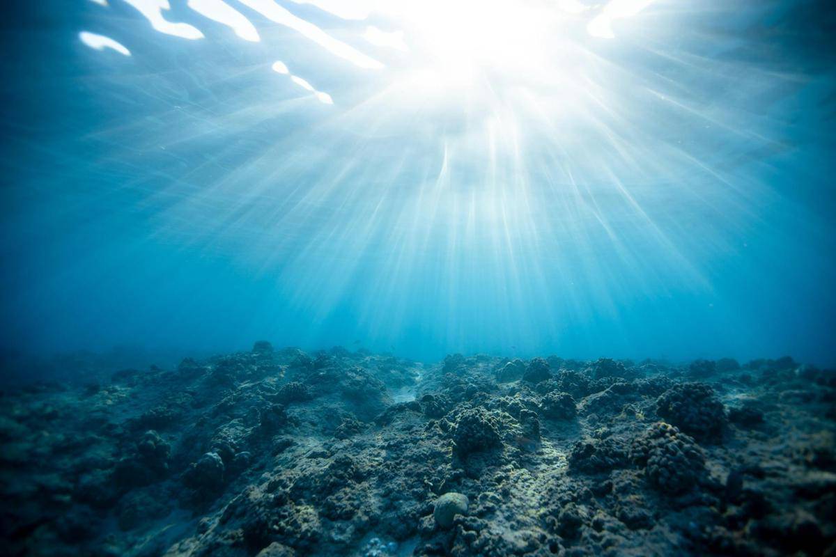 Misteri Kehidupan Laut