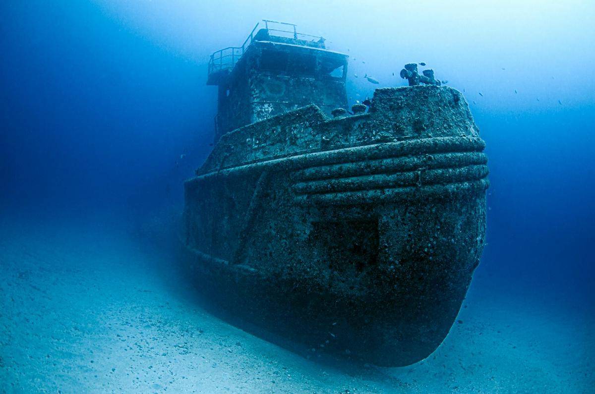 Misteri Kehidupan Laut