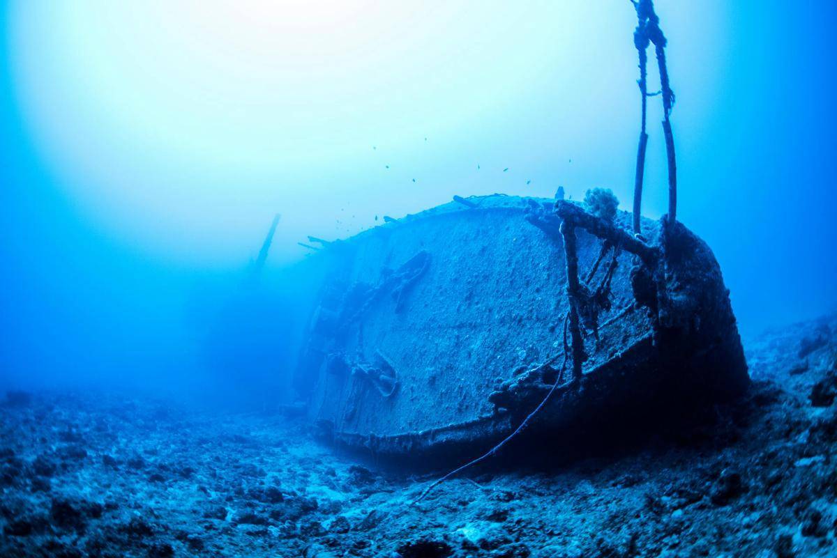 Misteri Kehidupan Laut