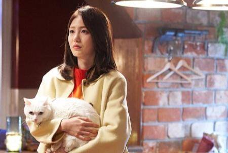 Cuplikan Meow, the Secret Boy (dok. KBS2/ Meow, the Secret Boy)