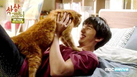 Cuplikan drama Imaginary Cat (dok. MBC every1/ Imaginary Cat)