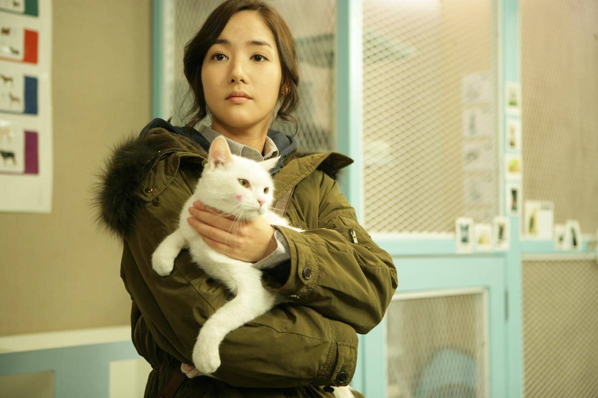 Cuplikan film The Cat (dok. Next Entertainment World/ The Cat)