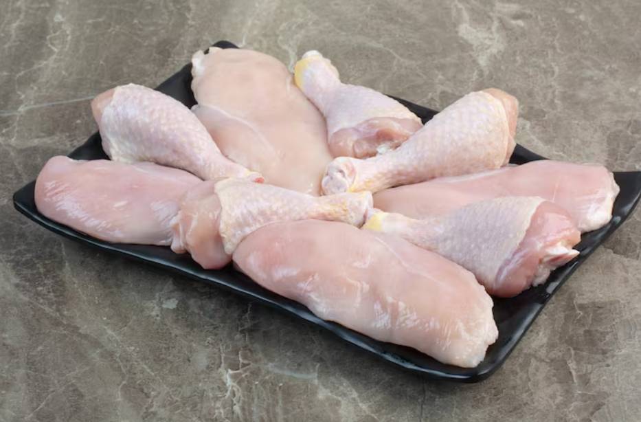 ilustrasi daging ayam