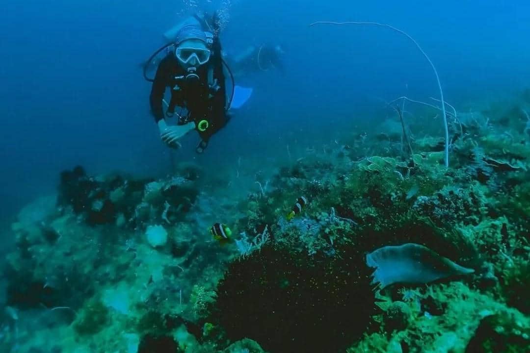 Kolam Renang Diving di Jakarta