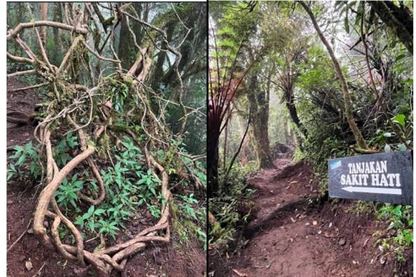 Gunung Kembang Wonosobo