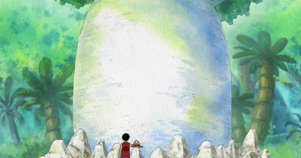 Pohon tempat Luffy menaruh topi jeraminya - One Piece