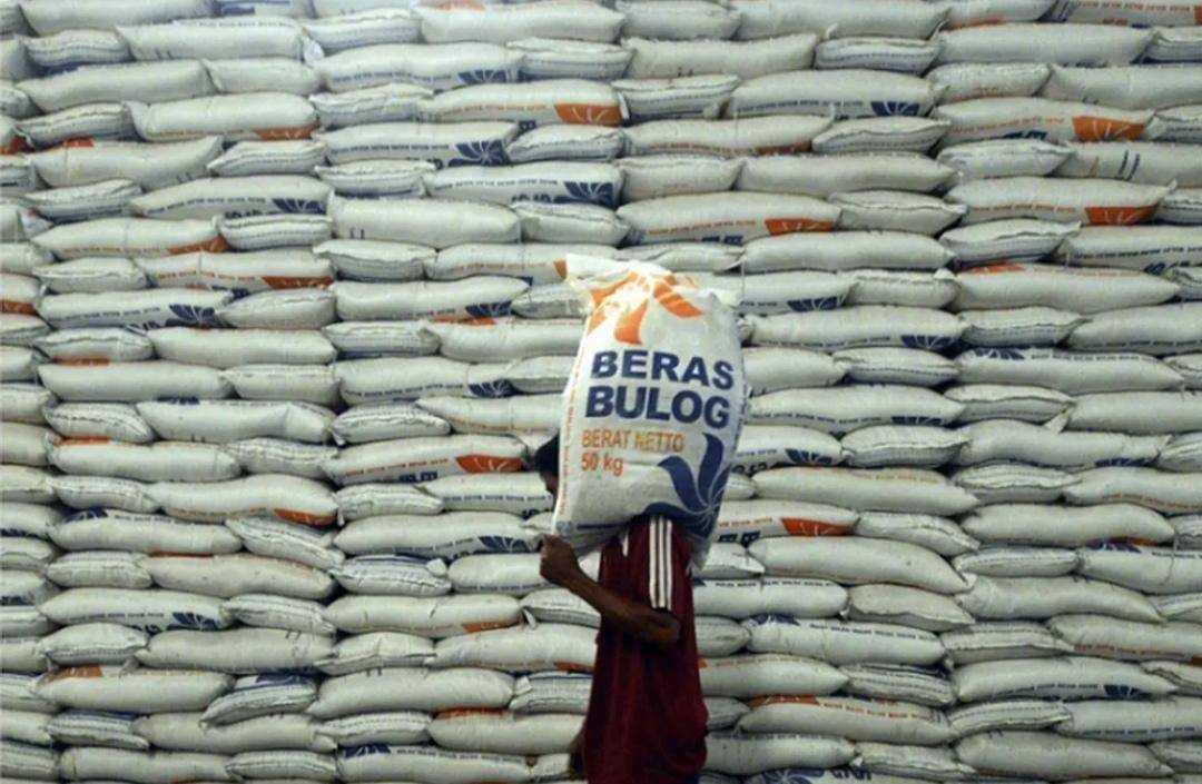 Ilustrasi beras Bulog. (dok. Humas Perum BULOG tahun 2023)