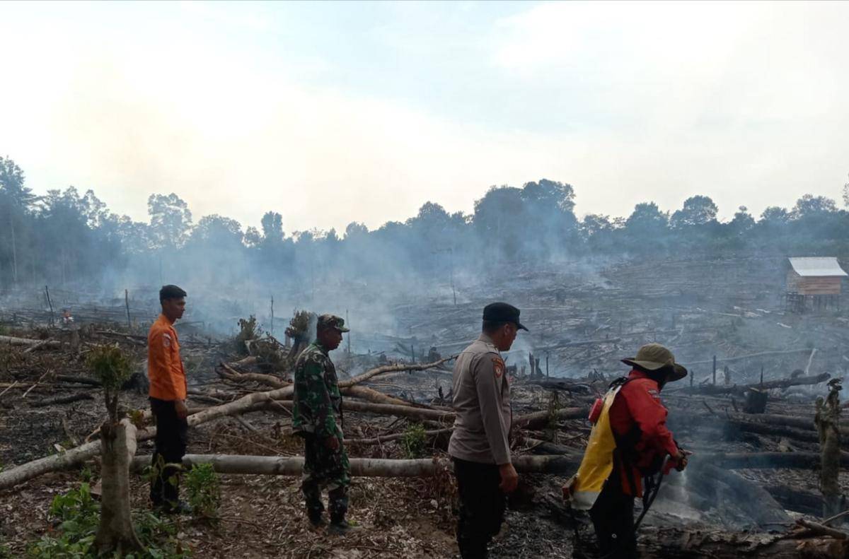 Kondisi lahan di Muba yang terbakar usai dilakukan pemadaman. (Dok. BPBD Muba)