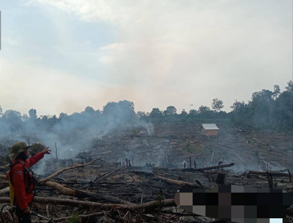 Kondisi lahan di Muba yang terbakar usai dilakukan pemadaman. (Dok. BPBD Muba)
