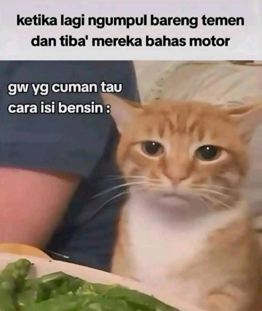 meme nongkrong