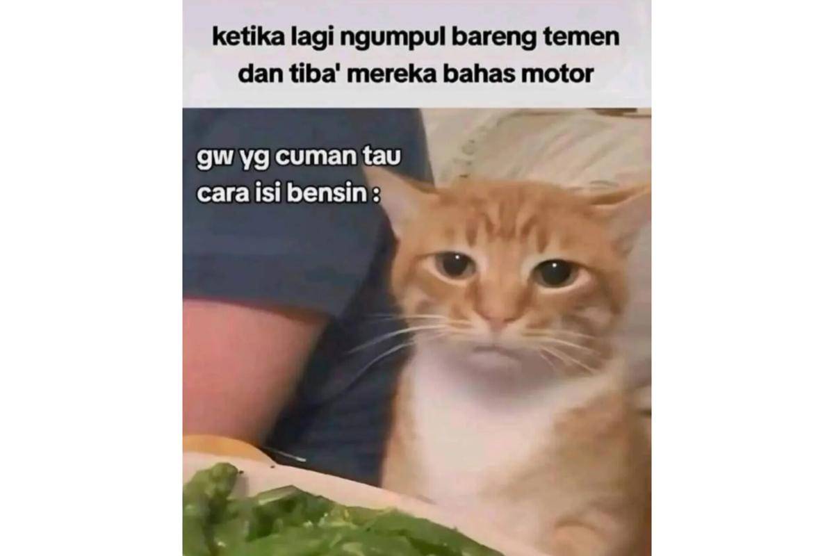 meme nongkrong