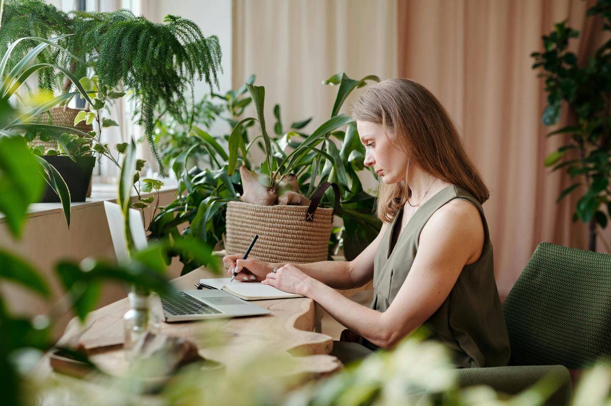 ilustrasi workspace yang nyaman dan segar (pexels.com/Mikael Blomkvist)