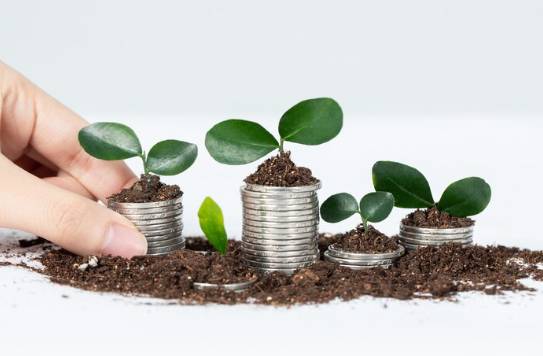 ilustrasi berinvestasi (freepik.com/wirestock