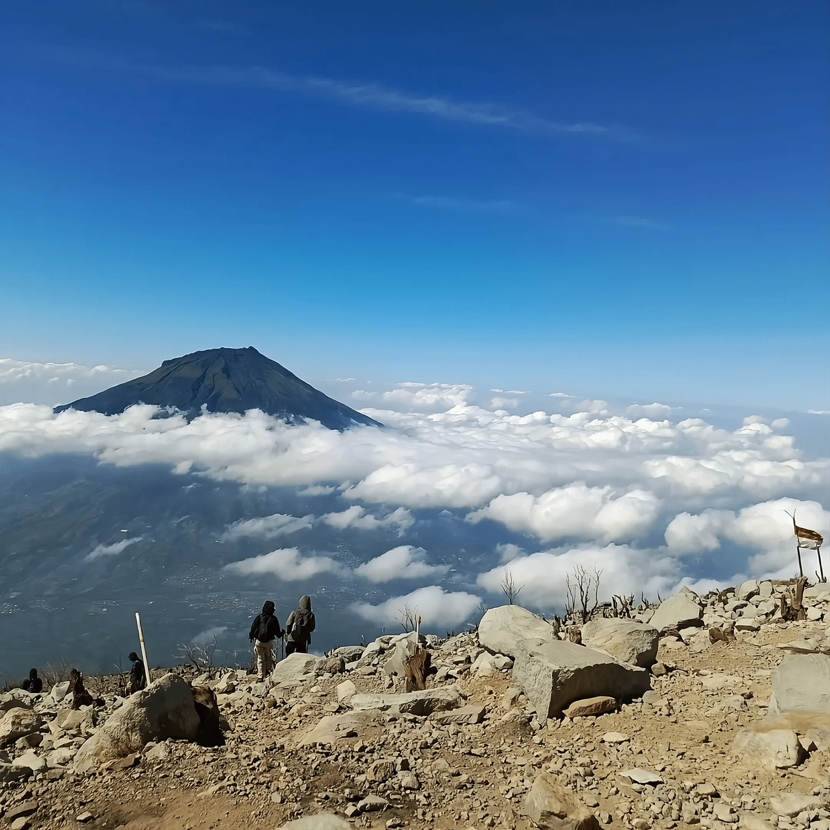 potret Gunung Sindoro