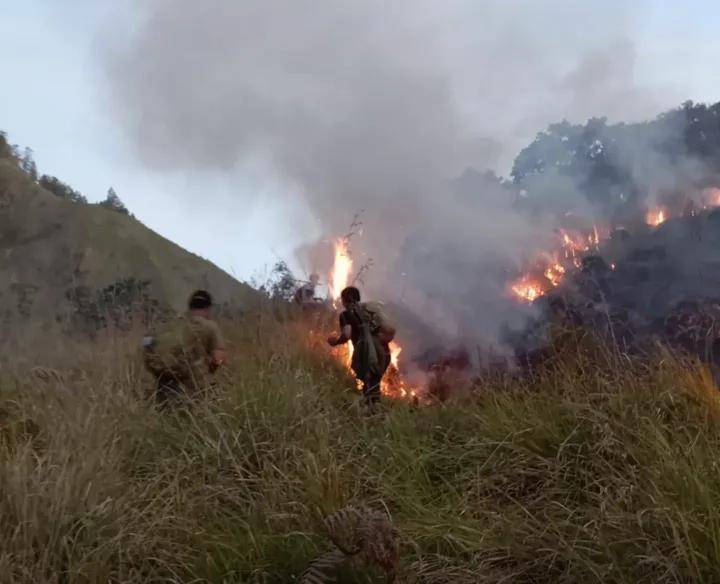Kebakaran hutan di kawasan Taman Nasional Gunung Rinjani