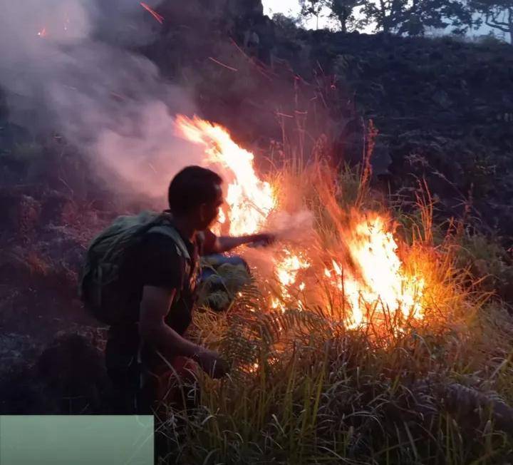 Kebakaran hutan di kawasan Taman Nasional Gunung Rinjani.