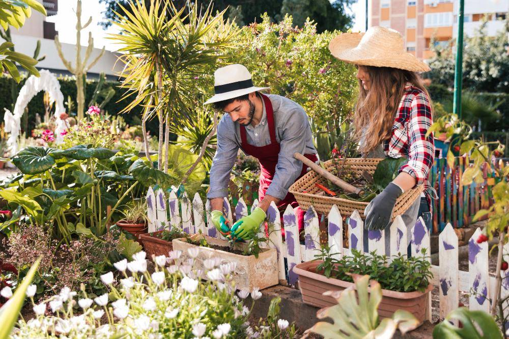 ilustrasi berkebun (freepik.com/freepik)