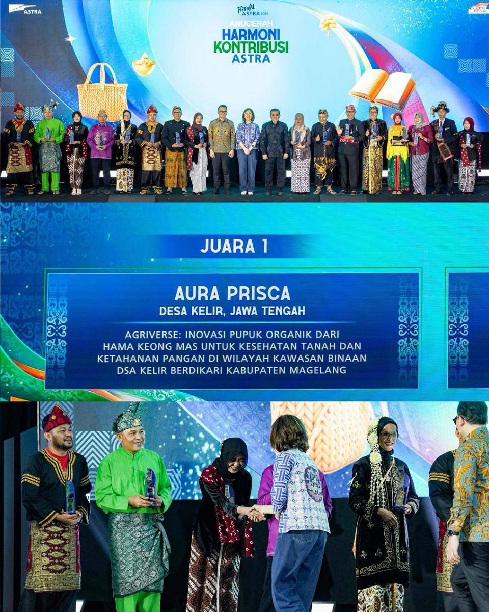 Ubah hama keong mas jadi pupuk organik. (instagram.com/dsa_kelirberdikari)